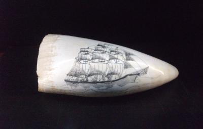 Scrimshaw on tooth of a sperm whale, by CBWC captain Ches Stubbs.