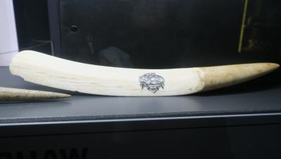 SCRIMSHAW (BLADE)