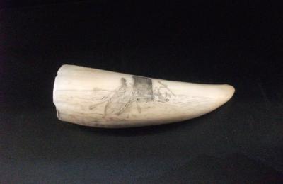 SCRIMSHAW (WHALE BREACHING)