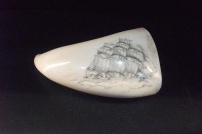 SCRIMSHAW (SAILING SHIP)