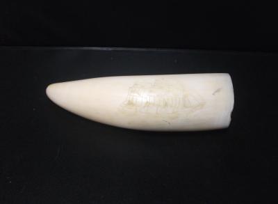 SCRIMSHAW (SAILING SHIP)