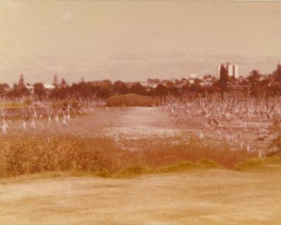 Lake Claremont 1978