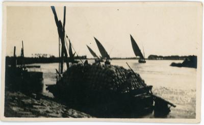 First World War Photograph of a 'Felucca' Sailing Boat on the Nile River