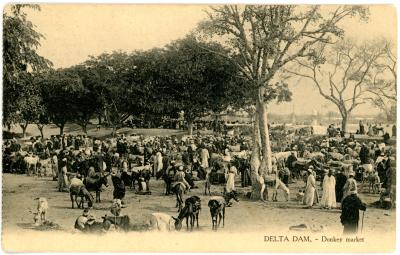 First World War Postcard of Delta Dam Donkey Market, Egypt
