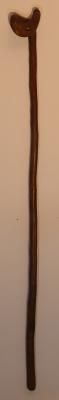 Walking Stick