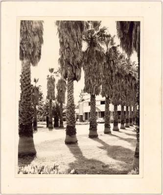 Katanning Hospital
