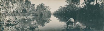 Denham (Dunham) River, East Kimberley.