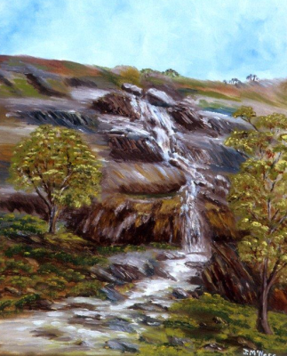 Sixty Foot Falls in ‘Ellis Brook’ (off Rushton Road, Martin)