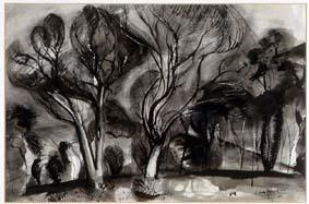 Winter trees