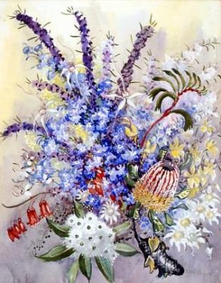 Australian wildflowers