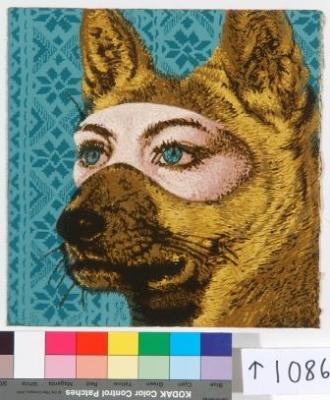 Dingo Vilka