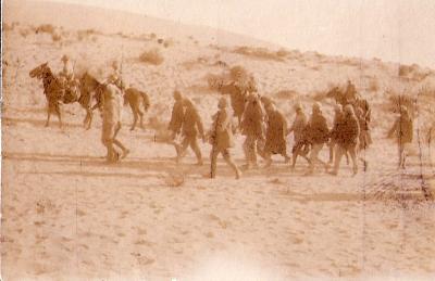 World War 1, Middle East, Imperial Camel Corps, Ottoman Prisoners, 1918