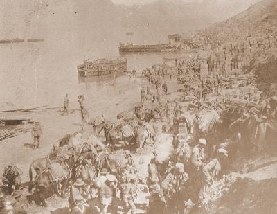 World War 1, Europe Turkey Gallipoli, 1915