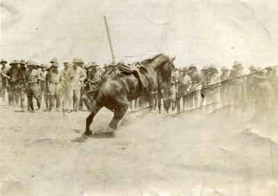 World War 1, Middle East, 1915