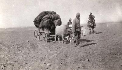 World War 1, Middle East, 1918