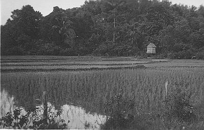 World War 2, South West Pacific, Borneo, British Borneo, Civic Affairs Unit, 1945