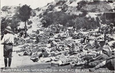 World War 1, Europe Turkey Gallipoli, 11 Battalion,