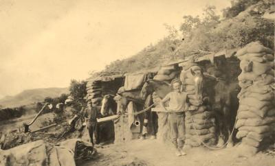 World War 1, Europe, Turkey, Gallipoli, New Zealand Artillery horses, 1915