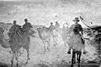 World War 1, Australia Western Australia, FOULKES-TAYLOR , 10 Australian Light Horse, 1915