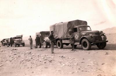 World War 2, Middle East, Western Desert, Libya/Egypt,1942