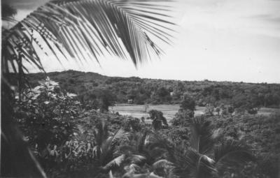 World War 2, South West Pacific, Borneo, British Borneo, Civic Affairs Unit, 1945