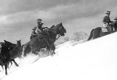 World War 2, Australia Western Australia, 10 Australian Light Horse, 1940