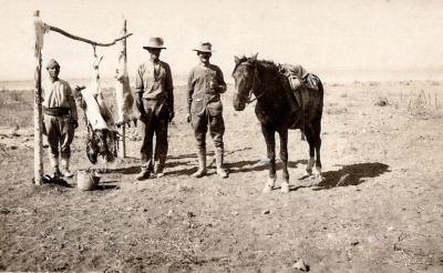 World War 1, Middle East, 10 Australian Light Horse, 1916