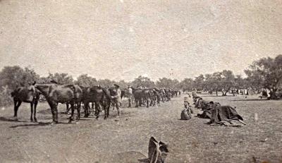 World War 1, Middle East, 10 Australian Light Horse, 1916