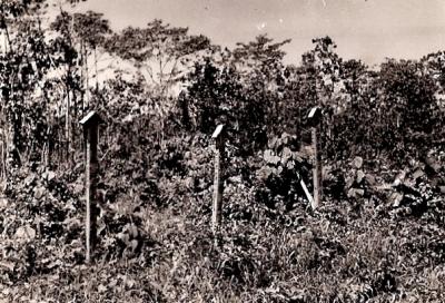 World War 2, Papua New Guinea, 2/2  Casualty Clearing Station, 1944