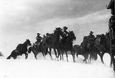 World War 2, Australia Western Australia, 10 Australian Light Horse, 1940