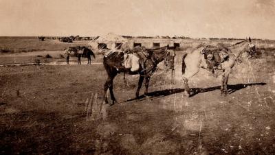 World War 1, Middle East Jennin, 10 Australian Light Horse, 1916