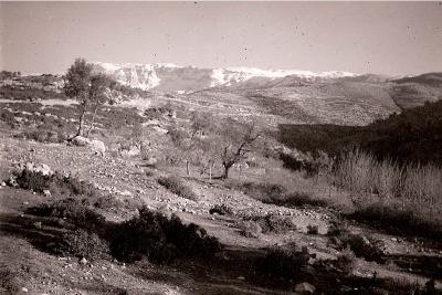 World War 2, Middle East Syria, 2/28 Battalion, 1942