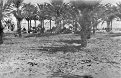 World War 1, Middle East Palestine Gaza, 10 Australian Light Horse, 1917