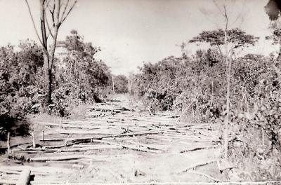 World War 2, Papua New Guinea, 2/2  Casualty Clearing Station, 1944