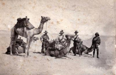 World War 1, Middle East, Camel Corps, 1918