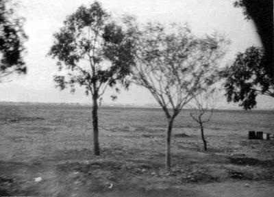 World War 2, Middle East Benghazi, 2/11 Battalion, 1942