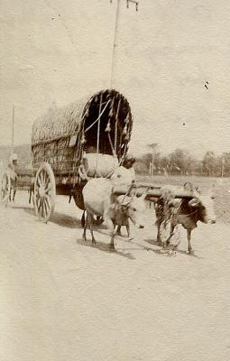World War 1, Middle East, 3 Australian General Hospital, 1916