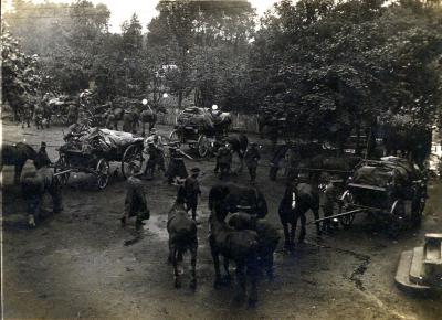 World War 1, Europe, 1916