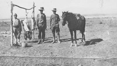 World War 1 , Middle East, 10 Australian Light Horse, 1918