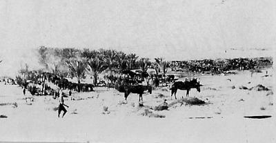 World War 1, Middle East, 10 Australian Light Horse, 1917