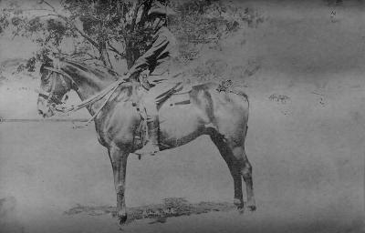 World War 1, Australia Western Australia, 10 Australian Light Horse, 1914