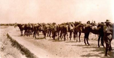 World War 1, Middle East, 10 Australian Light Horse, 1918