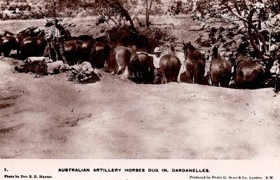 World War 1, Europe Turkey Gallipoli, 1915