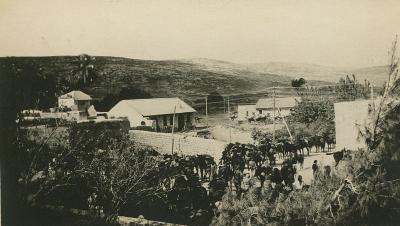 World War 1 , Middle East, 10 Australian Light Horse, 1918