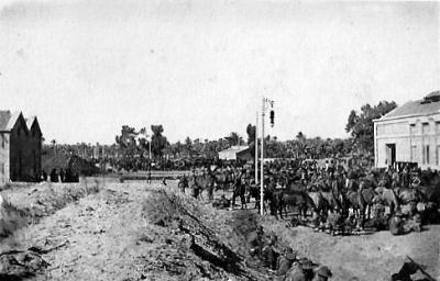 World War 1, Middle East, 10 Australian Light Horse, 1915