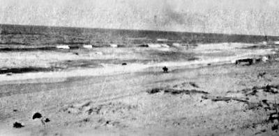 World War 1, Middle East, 10 Australian Light Horse, 1917