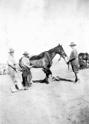 World War 1, Middle East, 10 Australian Light Horse, 1918