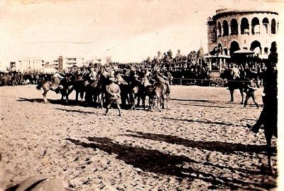 World War 1, Middle East, 10 Australian Light Horse, 1918