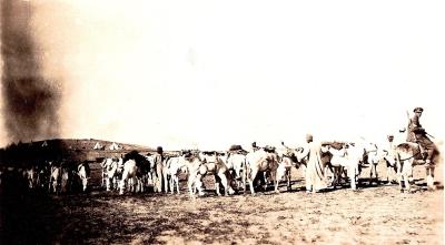 World War 1, Middle East Israel Jericho, 1918