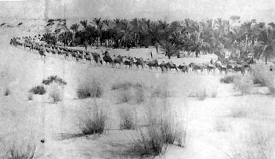 World War 1, Middle East, 10 Australian Light Horse, 1916